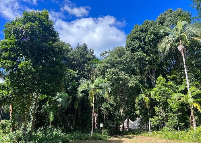 Avana Byron Glamping
