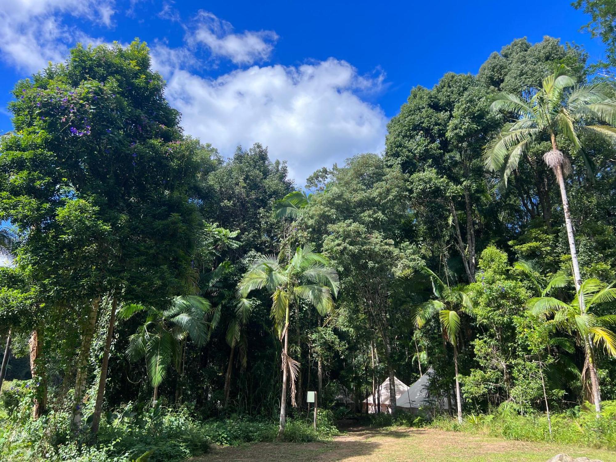 Avana Byron Glamping